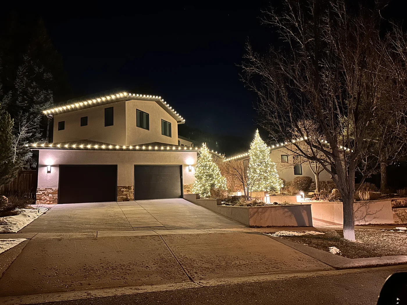 A Boulder home with warm white bulbs along the roofline and two evergreens netted in warm white