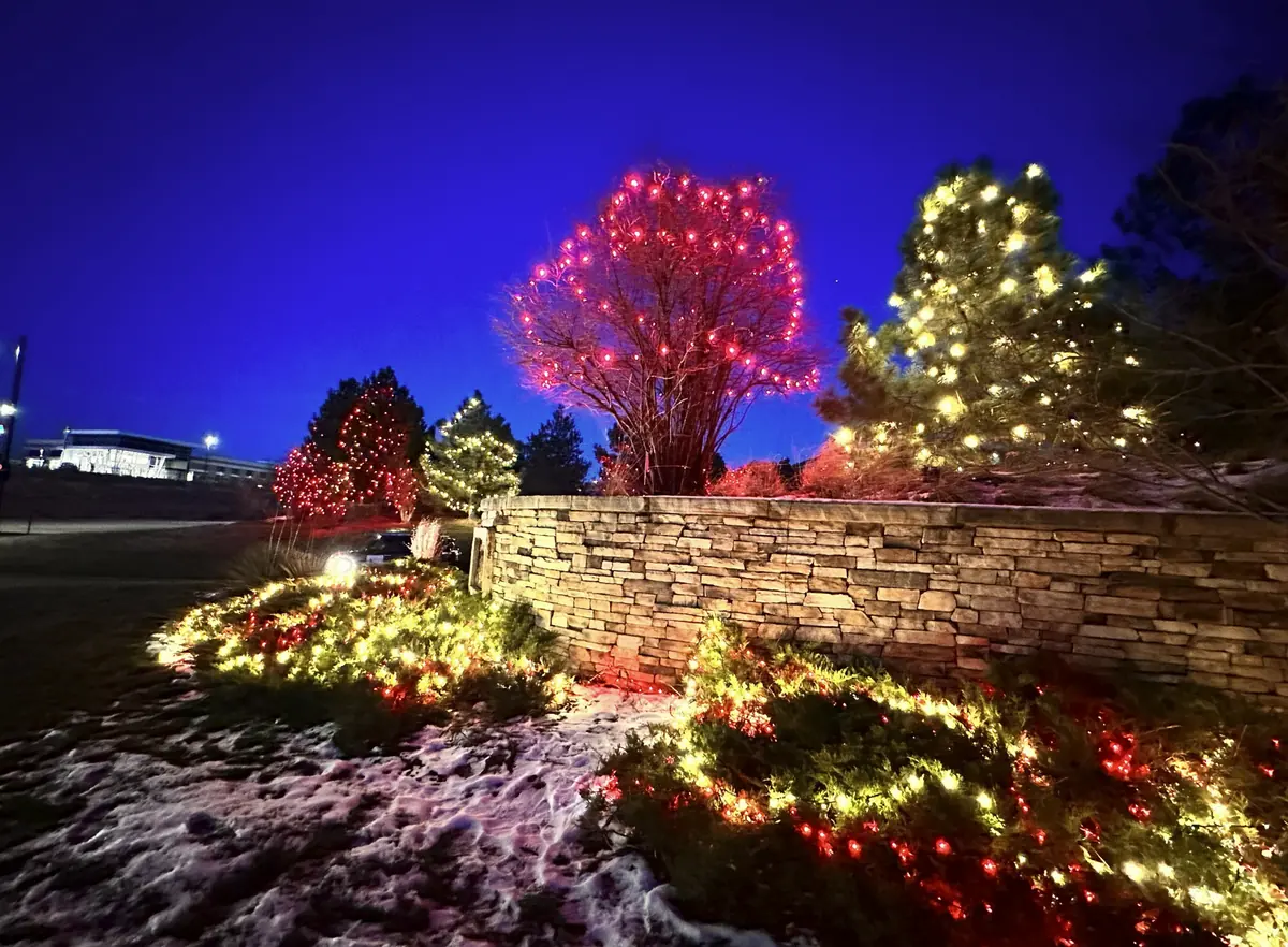 Terraced beds along a stone retaining wall woven in red and warm white lights, with a red-lit tree above at blue hour