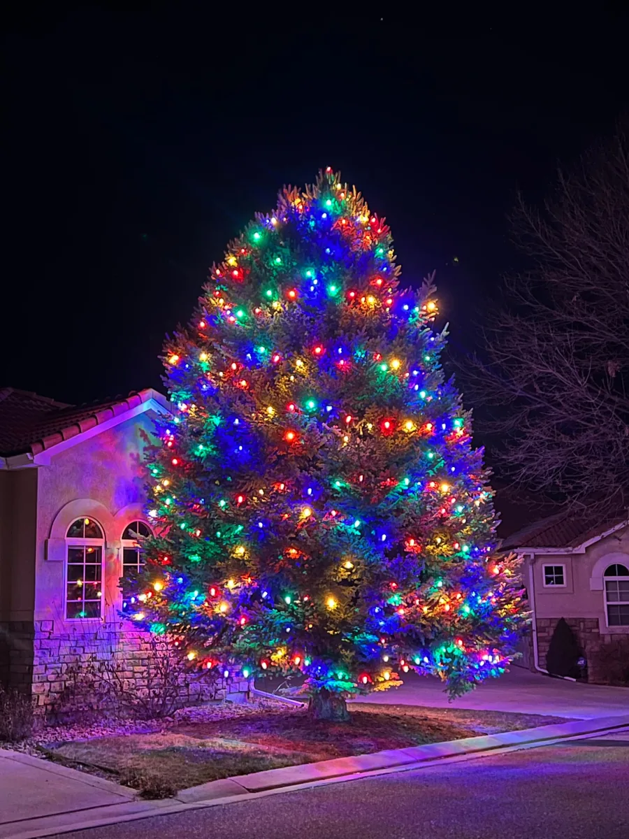 A tall front-yard spruce lit top to bottom in multicolor C9 bulbs, red, blue, green, amber and white, glowing in front of a stucco home at night
