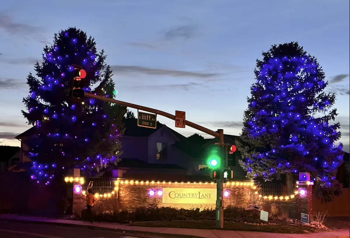 Country Lane HOA entrance monument at dusk with two evergreens lit blue and warm white swag along the brick wall